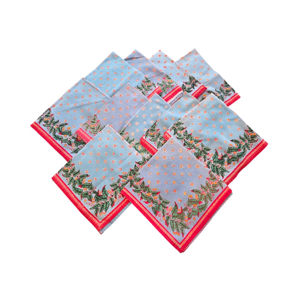 Set of 12 Williams Sonoma Provence Blue Red Napkin Floral 100% Cotton - read